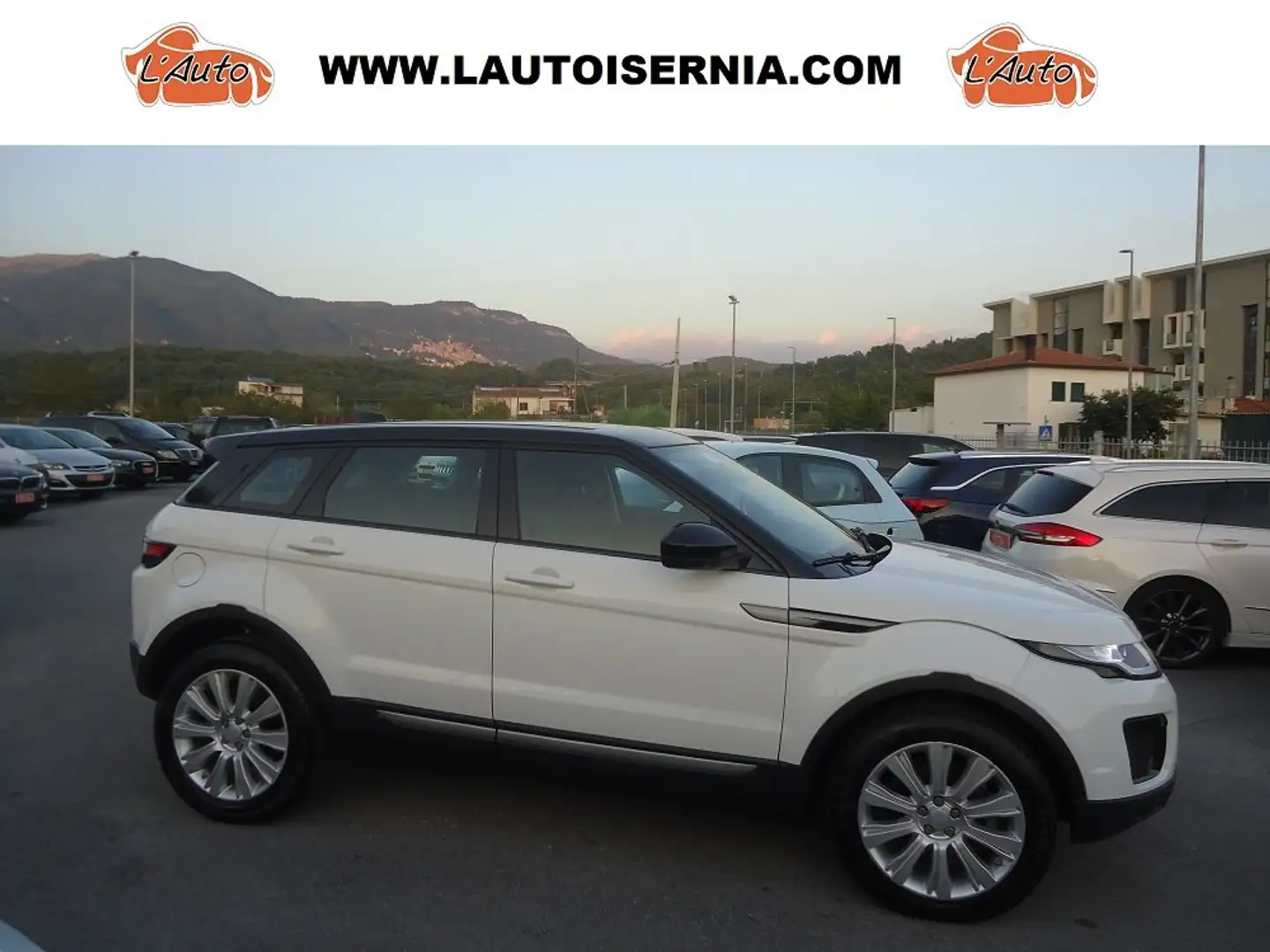 Land Rover Range Rover Evoque 5p 2.0 td4 Pure Business edition 180cv auto Bianco - 1