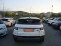 Land Rover Range Rover Evoque 5p 2.0 td4 Pure Business edition 180cv auto Bianco - thumbnail 5