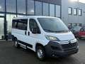 Citroen Jumper Kombi 30 L1H1 Live Blue-HDi 130 9-Sitzer Weiß - thumbnail 7