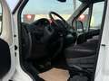Citroen Jumper Kombi 30 L1H1 Live Blue-HDi 130 9-Sitzer Weiß - thumbnail 9