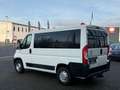 Citroen Jumper Kombi 30 L1H1 Live Blue-HDi 130 9-Sitzer Weiß - thumbnail 4