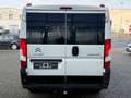 Citroen Jumper Kombi 30 L1H1 Live Blue-HDi 130 9-Sitzer Weiß - thumbnail 5