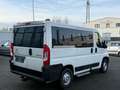 Citroen Jumper Kombi 30 L1H1 Live Blue-HDi 130 9-Sitzer Weiß - thumbnail 6