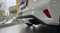 Ford Focus ST Blanc - thumbnail 12