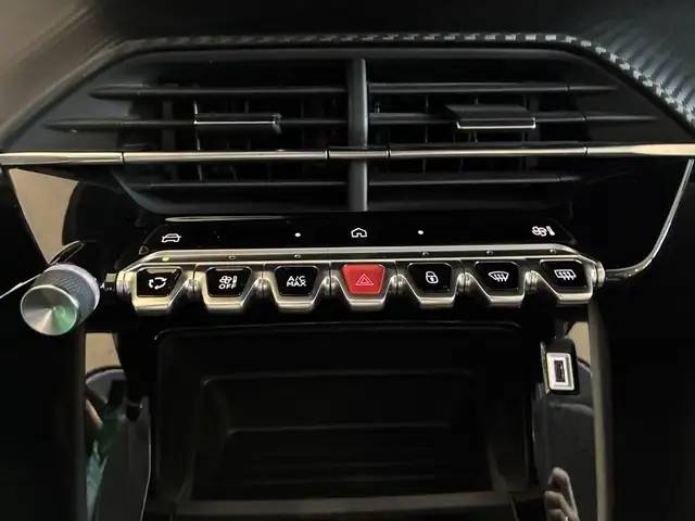 Peugeot 208 view 11