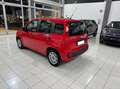 Fiat Panda 1.0 firefly hybrid BELLA PRONTA CONSEGNA!!!! Rosso - thumbnail 6