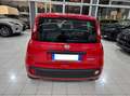 Fiat Panda 1.0 firefly hybrid BELLA PRONTA CONSEGNA!!!! Rosso - thumbnail 5