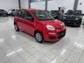Fiat Panda 1.0 firefly hybrid BELLA PRONTA CONSEGNA!!!! Rosso - thumbnail 3