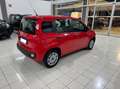 Fiat Panda 1.0 firefly hybrid BELLA PRONTA CONSEGNA!!!! Rosso - thumbnail 4