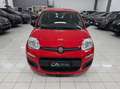Fiat Panda 1.0 firefly hybrid BELLA PRONTA CONSEGNA!!!! Rosso - thumbnail 2