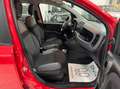 Fiat Panda 1.0 firefly hybrid BELLA PRONTA CONSEGNA!!!! Rosso - thumbnail 8