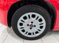 Fiat Panda 1.0 firefly hybrid BELLA PRONTA CONSEGNA!!!! Rosso - thumbnail 12