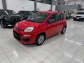Fiat Panda 1.0 firefly hybrid BELLA PRONTA CONSEGNA!!!! Rosso - thumbnail 1