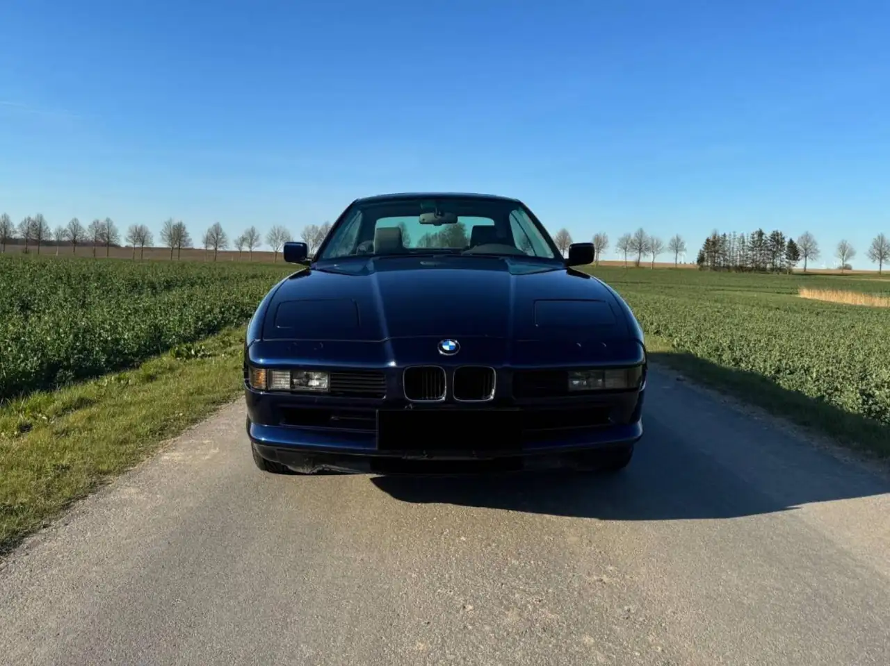 BMW 850Ci (850i), foto 2