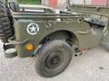 Jeep Willys Zielony - thumbnail 4