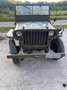 Jeep Willys Zielony - thumbnail 1