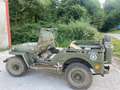 Jeep Willys Zielony - thumbnail 3