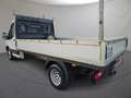 Ford Transit Pritsche 2,0 TDCi L3H1 350 Ambie Weiß - thumbnail 3