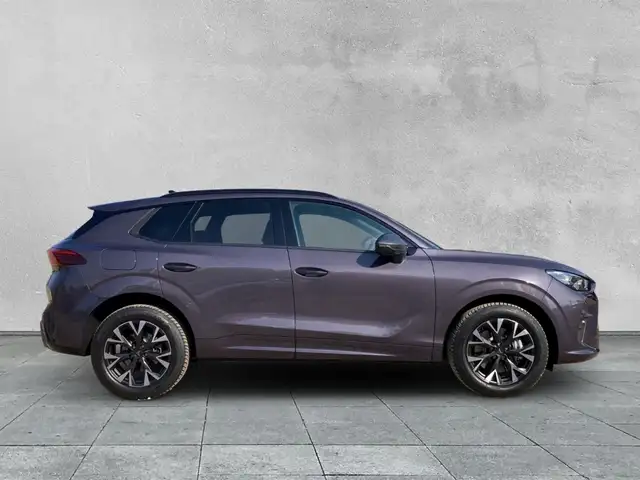 Cupra Terramar view 6
