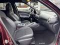 Nissan Juke 1.0 DIG-T 2WD EDITION BOSE GPS CUIR JANTE CARNET Rood - thumbnail 12