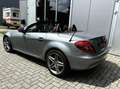 Mercedes-Benz SLK 300 Prestige Plus Сірий - thumbnail 6