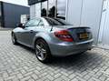 Mercedes-Benz SLK 300 Prestige Plus Сірий - thumbnail 10