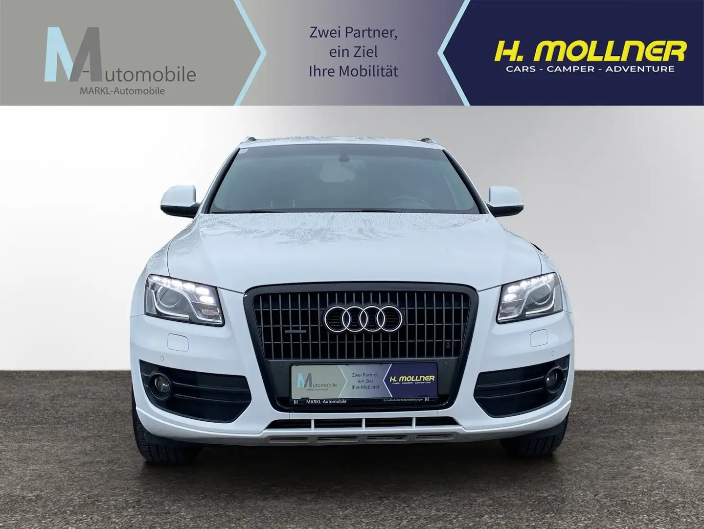 Audi Q5 2.0 TDI 6.Gang Blanco - 2