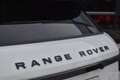 Land Rover Range Rover Evoque 2.0 Si 4WD Dynamic Business Keyless Leder Camera - thumbnail 43