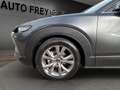 Mazda CX-30 Selection BOSE DES-P KAMERA Grau - thumbnail 6