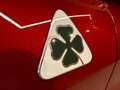 Alfa Romeo Stelvio 2.9 Gasolina 375kW 510CV Quadrifogl Q4 5p. - thumbnail 23