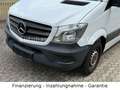 Mercedes-Benz Sprinter II Kasten 310/311/313/314/316 CDI MAXI Weiß - thumbnail 20