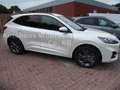 Ford Kuga Plug-In Hybrid ST-Line X Weiß - thumbnail 3