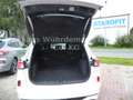 Ford Kuga Plug-In Hybrid ST-Line X Weiß - thumbnail 7