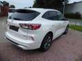 Ford Kuga Plug-In Hybrid ST-Line X Weiß - thumbnail 5