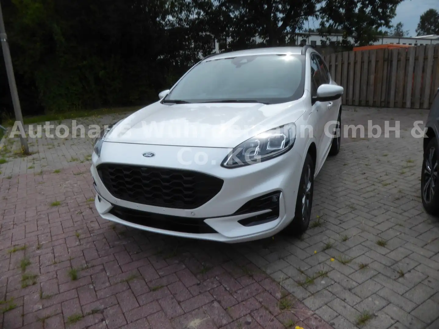 Ford Kuga Plug-In Hybrid ST-Line X Weiß - 1