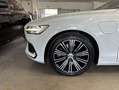 Volvo S60 2.0T8 390CV INSCRIPTION Blanco - thumbnail 28