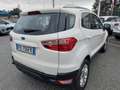 Ford EcoSport 1.5 TDCi 95 CV Plus Euro 6  km 125000 Blanc - thumbnail 4