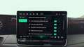 Volkswagen Tiguan 2.0TDI Life DSG 110kW Gris - thumbnail 18
