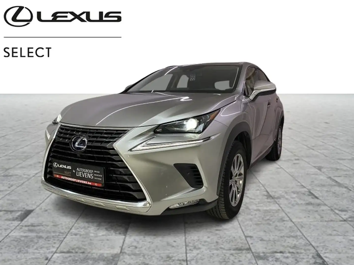 Lexus NX 300h Business Line Plus AWD 2.5 Hyb Or - 1