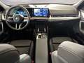 BMW iX2 xDrive30 Head-Up HK HiFi DAB Noir - thumbnail 6