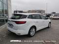Renault Megane Megane Sporter 1.5 Blue Business Weiß - thumbnail 3