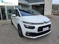 Citroen C4 Picasso BlueHDi 120 S&S Feel Blanc - thumbnail 1