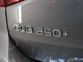 Mercedes-Benz EQB 250 250+ Luxury Line 71 kWh | Panoramadak | Memory sto Gris - thumbnail 47