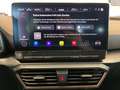 CUPRA Formentor VZ5 VZ5 2.5 TSI DSG 047/999 taiga grey Navi beats Sou Gris - thumbnail 13