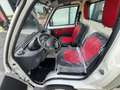 Piaggio Quargo Cassone Fisso 2 Posti Blanco - thumbnail 11