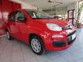 Fiat Panda 1.0  Hybrid  5POSTO City Life Rouge - thumbnail 2