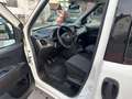Fiat Doblo Doblò Pop/ Klima Alb - thumbnail 8