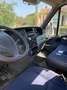 Iveco Daily Blanc - thumbnail 2