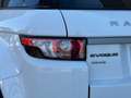 Land Rover Range Rover Evoque 2.2L eD4 Pure 4x2 Blanco - thumbnail 7