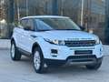 Land Rover Range Rover Evoque 2.2L eD4 Pure 4x2 Blanco - thumbnail 3